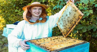 Složení a obsah kalorií medu sněženky, jeho použití